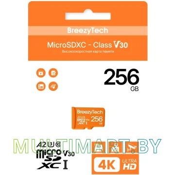 Карта памяти BreezyTech Ultra microSDXC 256GB Class 10/A2/V30 (без адаптера)